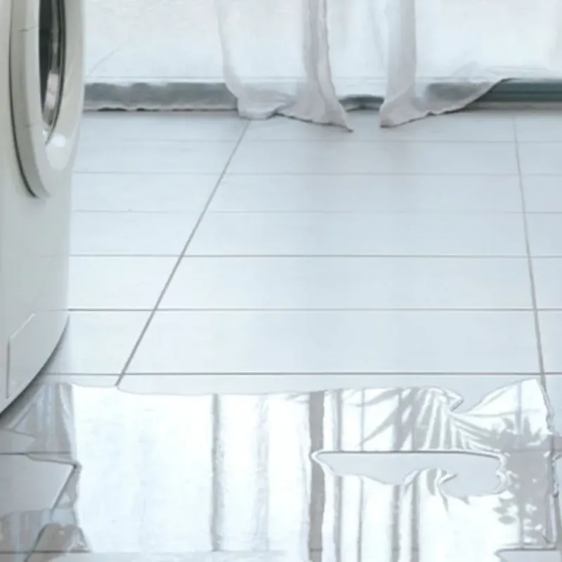 Appliance Leak Cleanup in Parker, FL