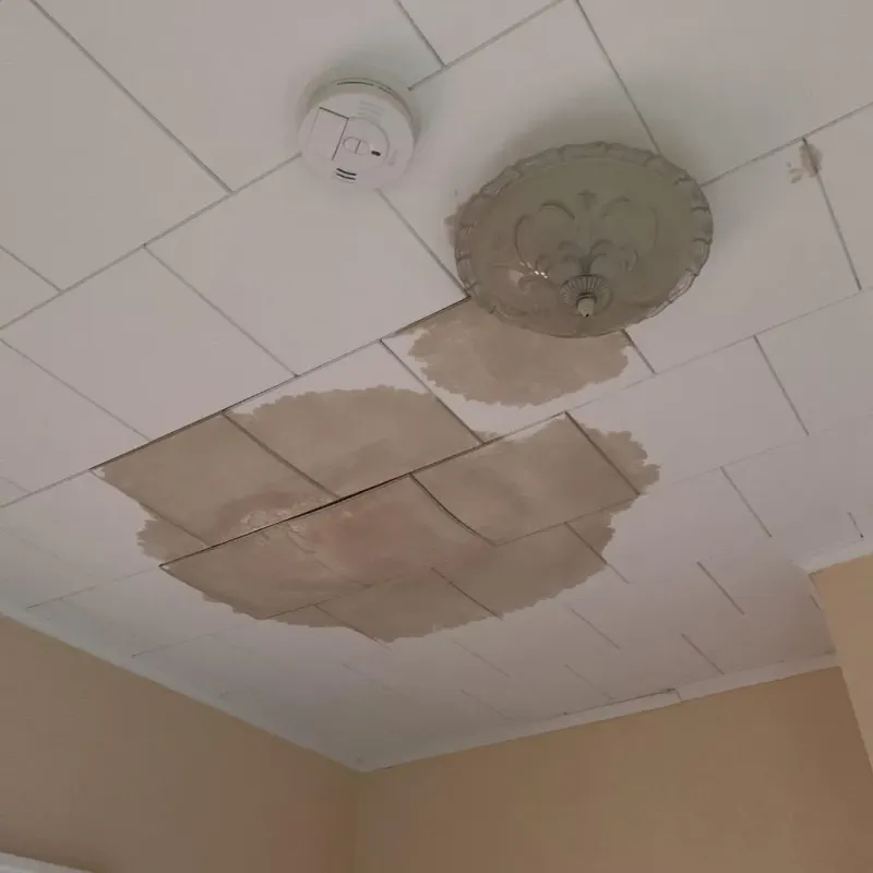 Ceiling Water Damage Repair in Parker, FL