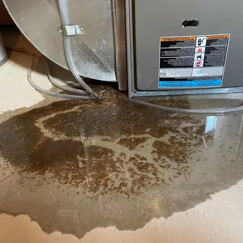 Pipe Burst and Leak Restoration in Parker, FL