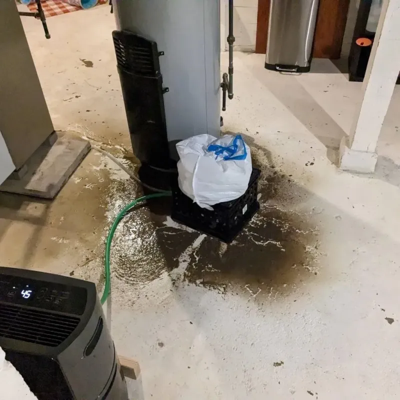 Sewage Backup Cleanup Service in Parker, FL